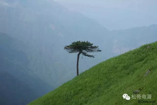1.webp.jpg
