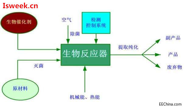 发酵过程中影响微生物生理代谢的溶解氧