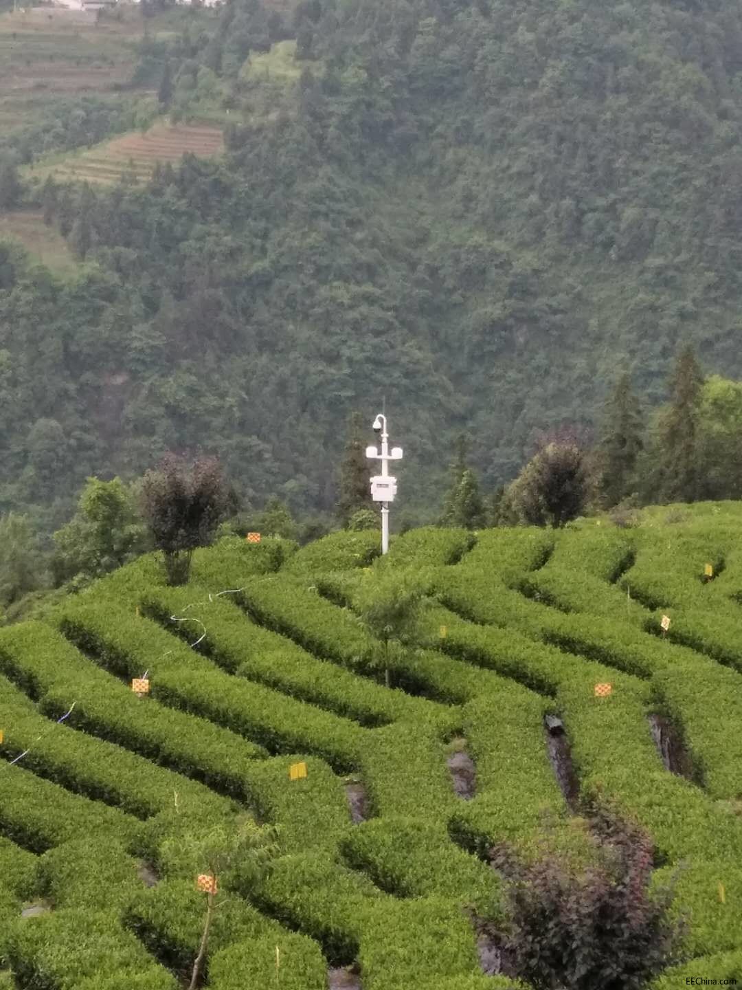714933139151092199.jpg