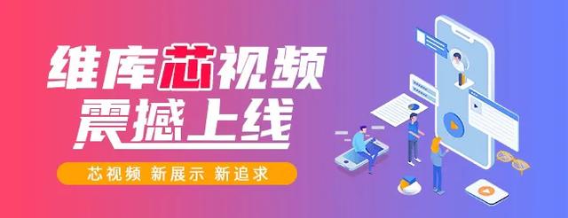 维库芯视频