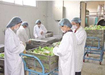 食品加工厂中甲烷传感器和二氧化碳传感器的应用