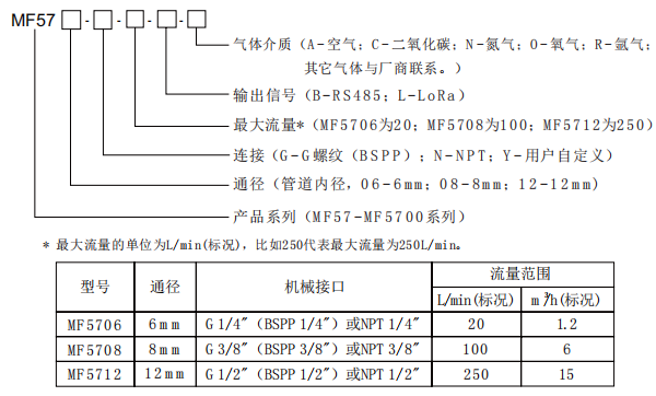 气体质量流量计的优点和安装方法