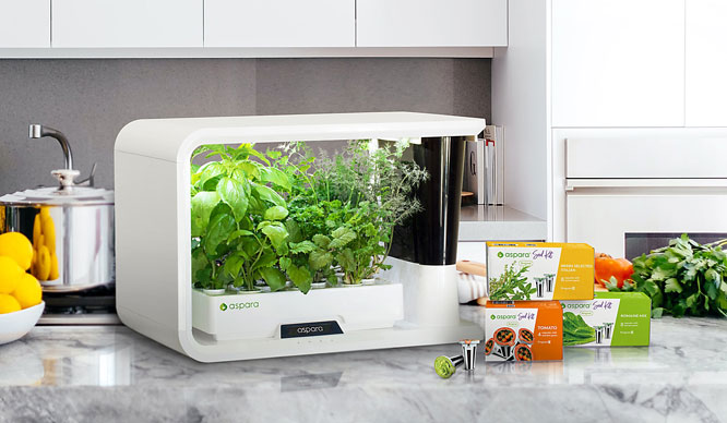 NOR235.-Growgreen-(PR).jpg