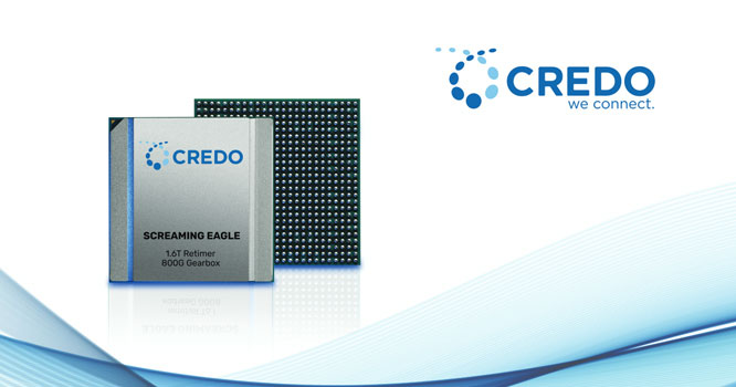 Credo-ScreamingEagle.jpg
