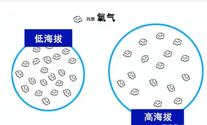 氧气测量在高海拨地区汽车应用