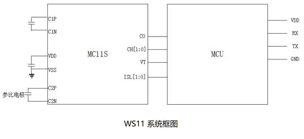 WS11-1.jpg