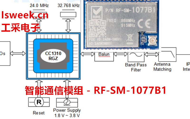 RF-SM-1077B1.jpg