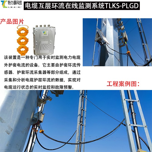 电缆互层环流在线监测系统.jpg