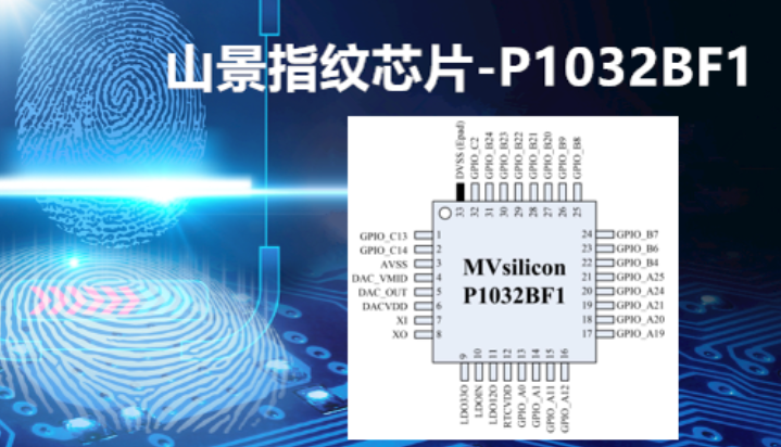 P1032BF1-1.jpg
