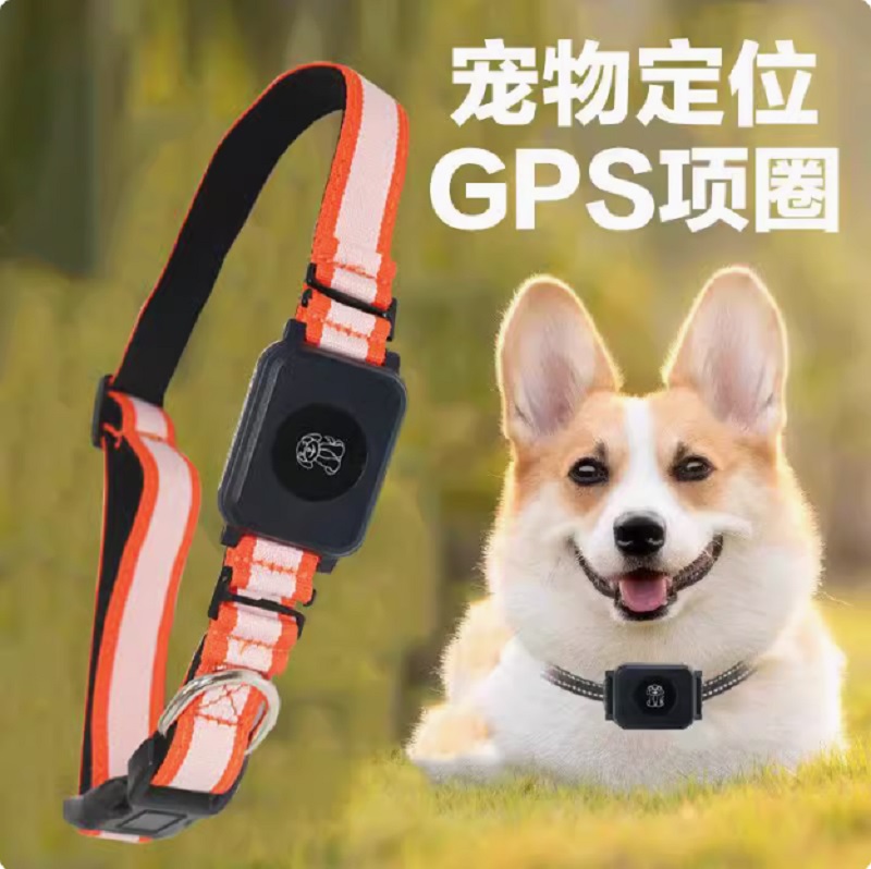 宠物定位项圈不可或缺的宠物养护助手