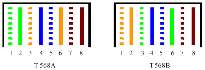 5.gif