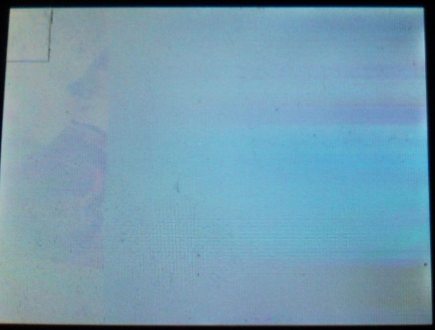 lcd1.JPG