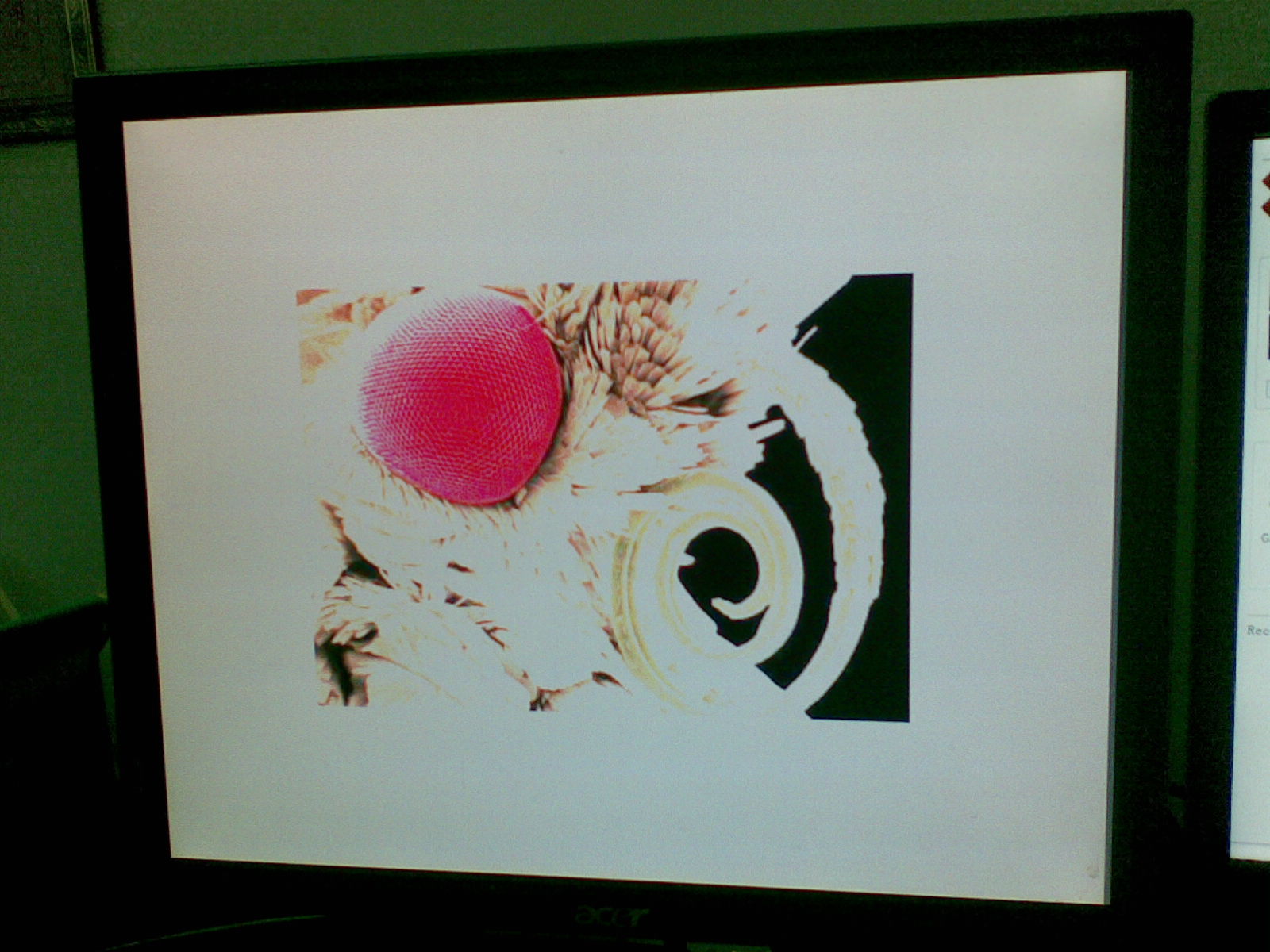 20101027_013.jpg