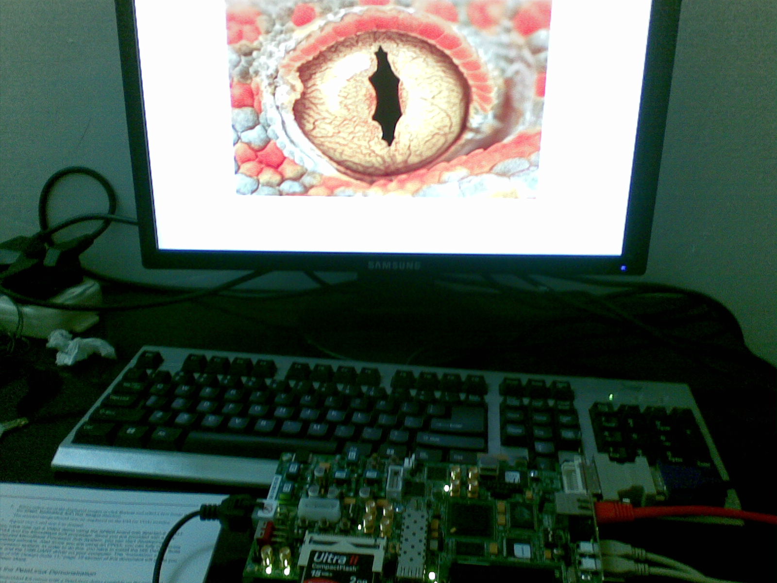 20101027_002.jpg