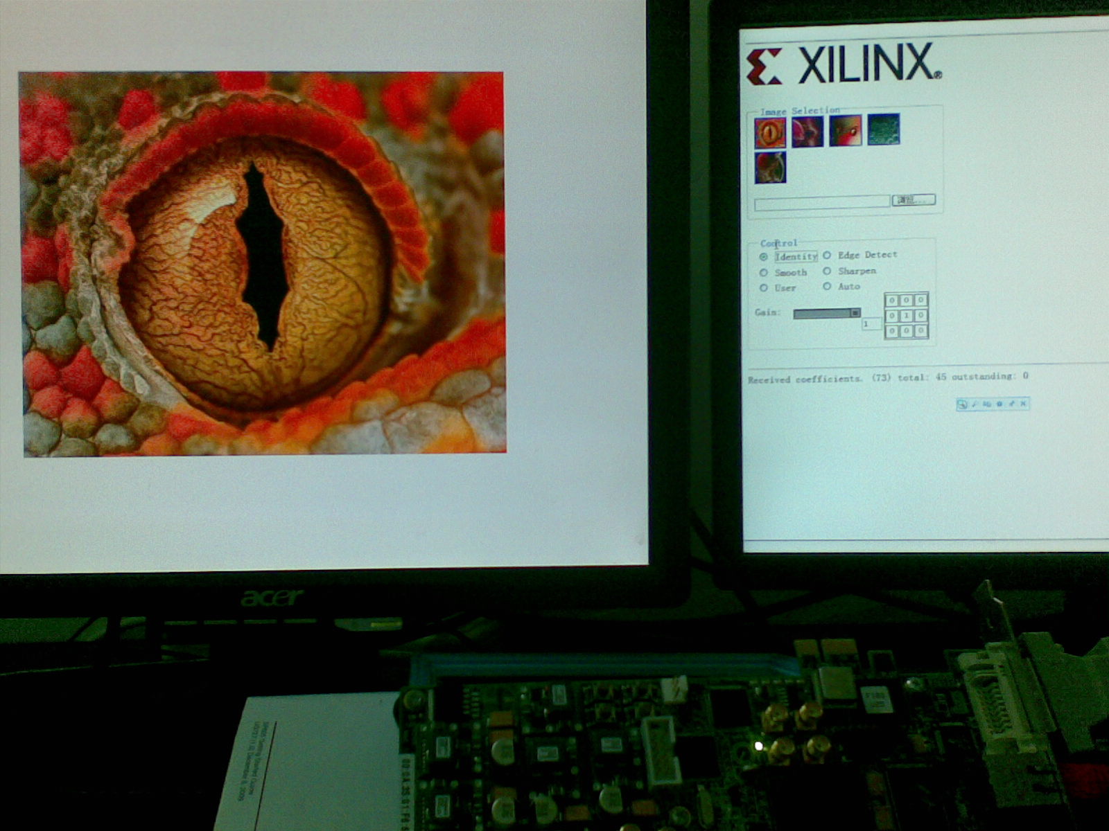 20101027_009.jpg
