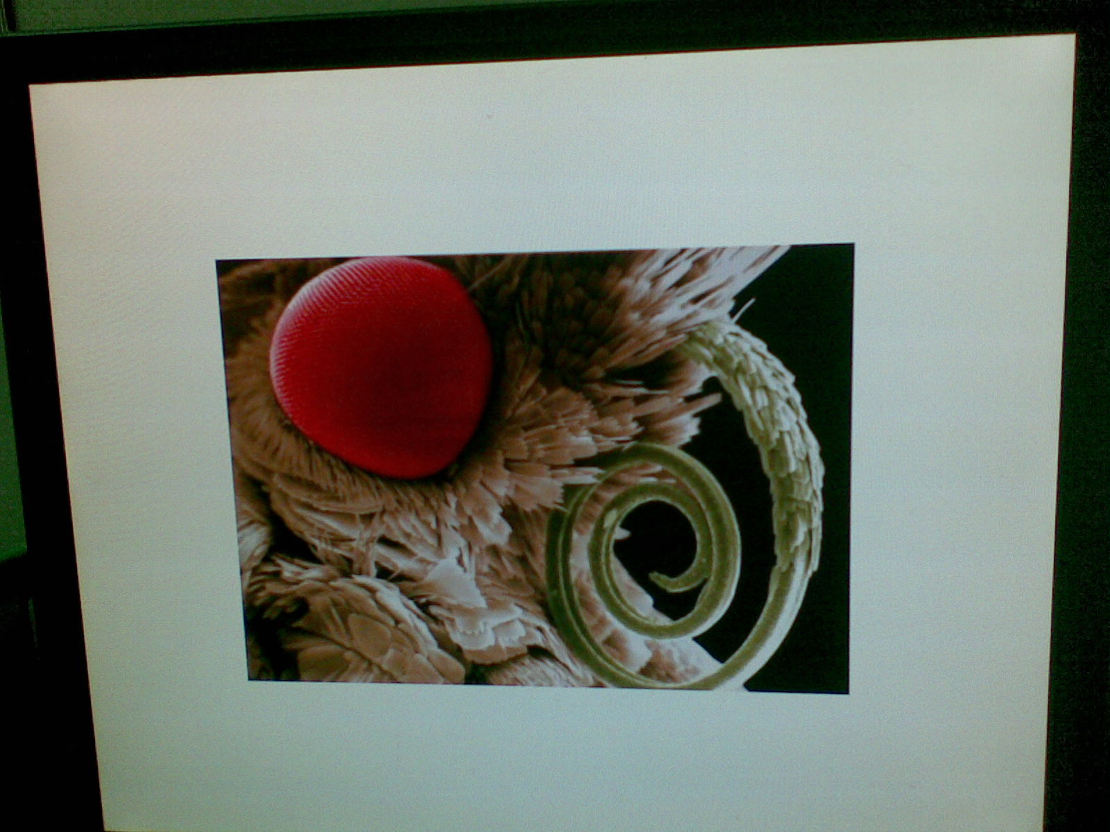 20101027_012.jpg