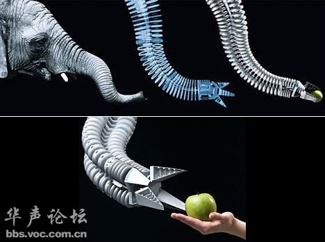 2011013035.jpg