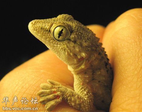 2011013046.jpg