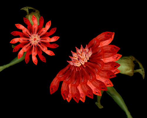 _20110412110435_c2TkB.jpg