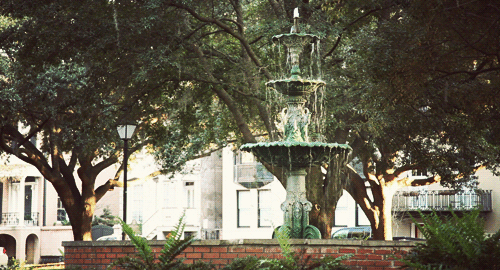 cinemagraphs-30.gif
