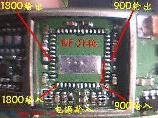 RF3146.jpg