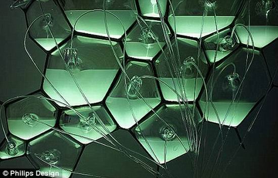 新型“生物灯”通过发光细菌产生光线(图)