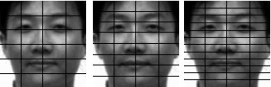 R50.jpg