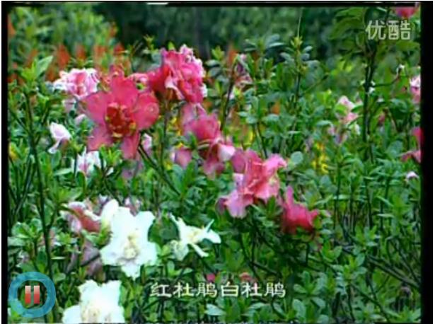360截图20120119140457859.jpg