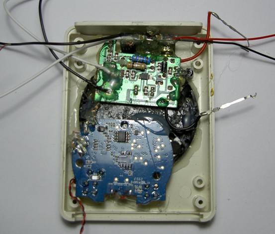 s79.jpg