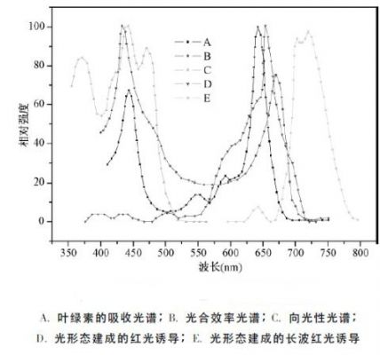 20120528112421956.jpg