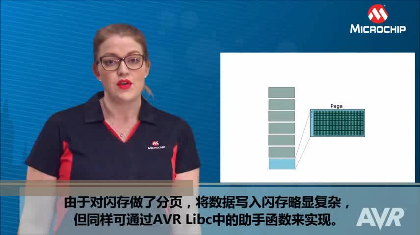 AVR® Insights — 第1集 — AVR存储器视频