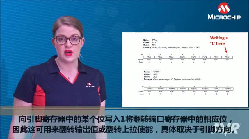 AVR® Insights — 第3集 — 端口视频