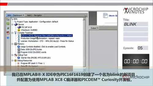 MICROCHIP MINUTES 5 - 闪烁视频